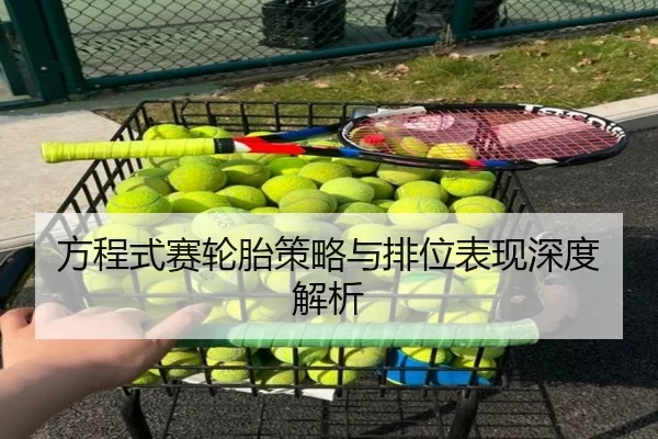 方程式赛轮胎策略与排位表现深度解析